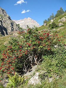 2010_08_oisans_006.jpg