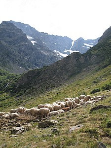 2010_08_oisans_054.jpg